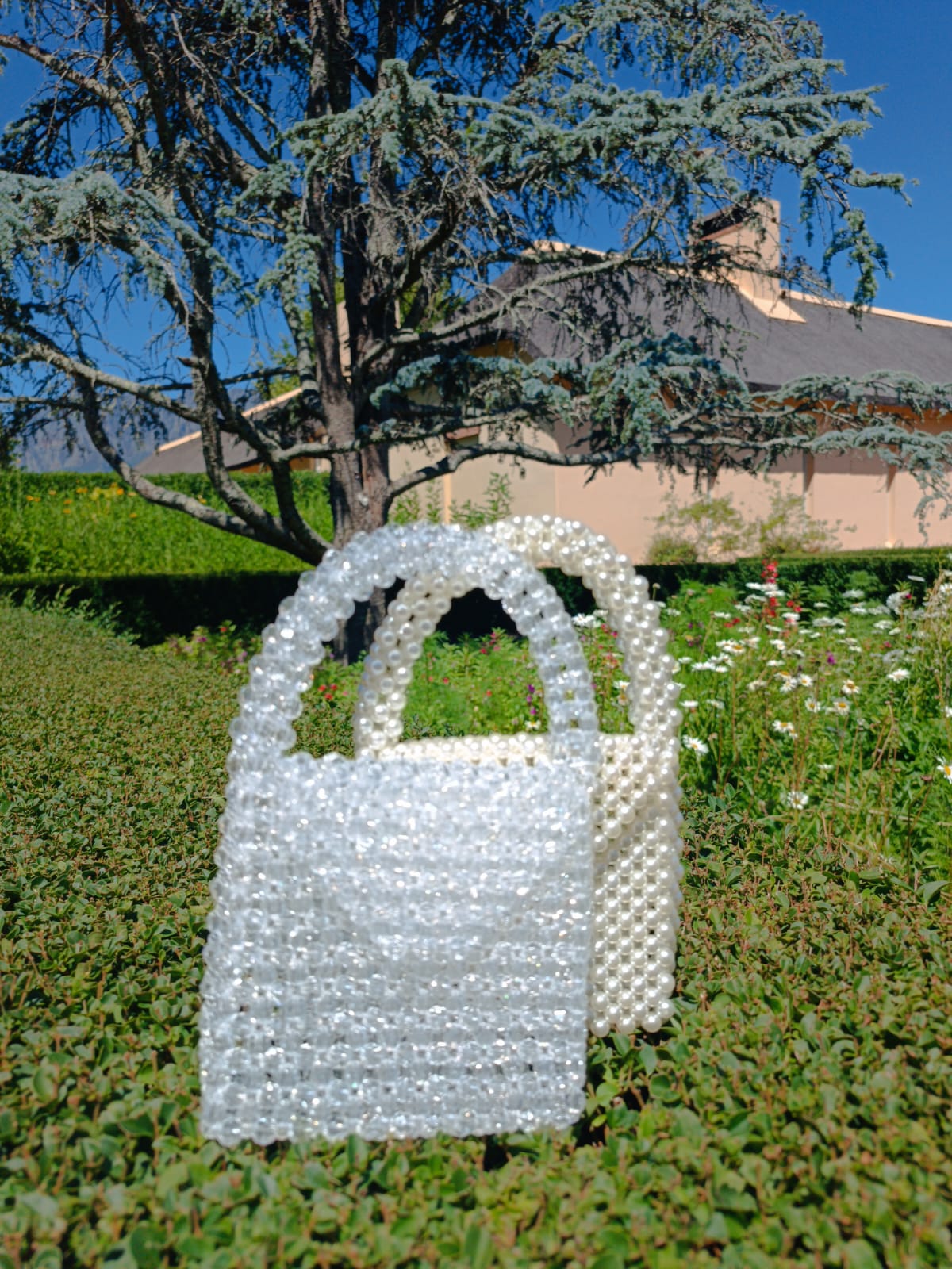 Crystal Clear Bag